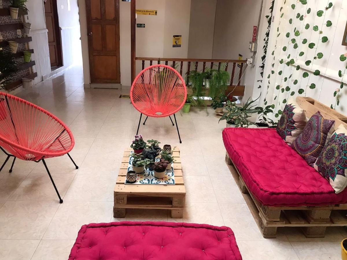 Hospedaje Casa Rosa 贾丁 外观 照片