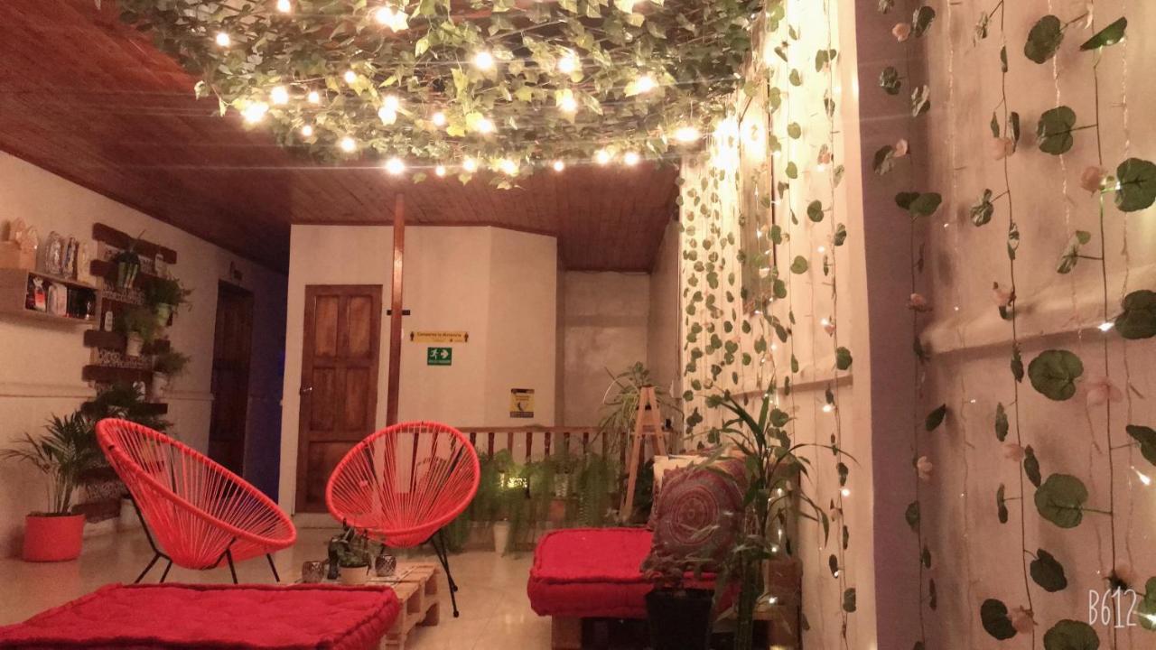 Hospedaje Casa Rosa 贾丁 外观 照片