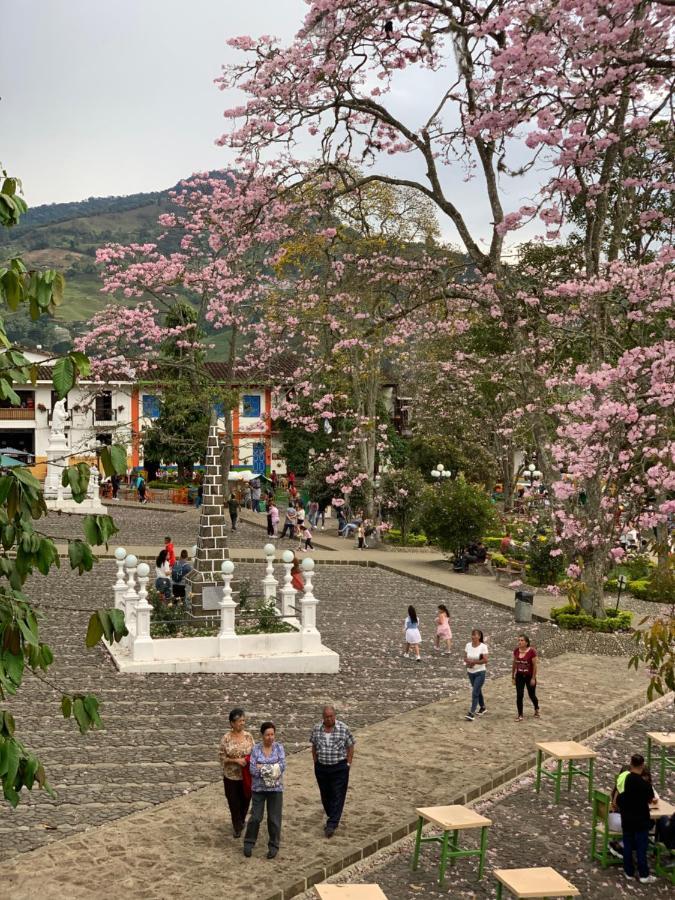 Hospedaje Casa Rosa 贾丁 外观 照片