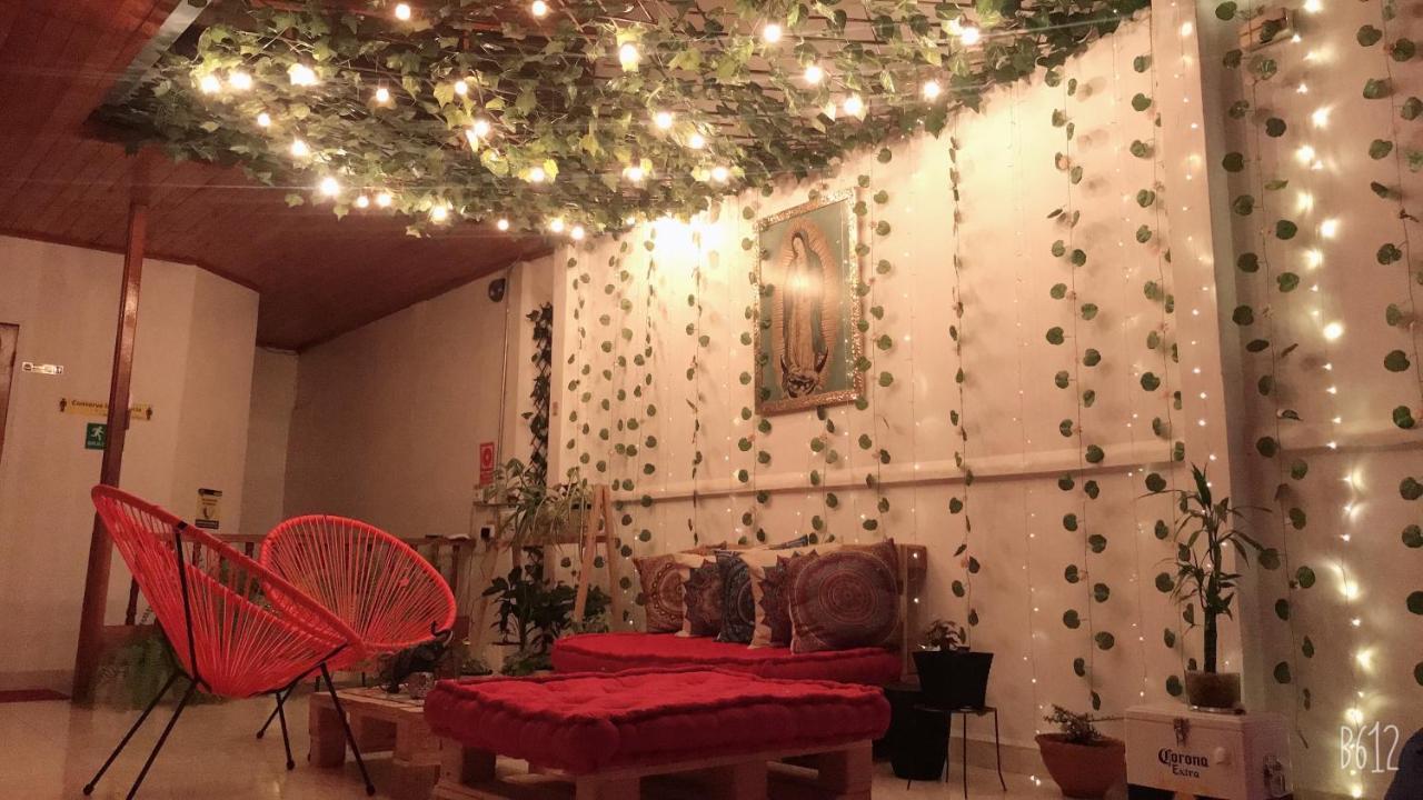 Hospedaje Casa Rosa 贾丁 外观 照片