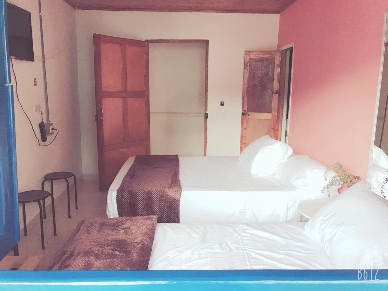 Hospedaje Casa Rosa 贾丁 外观 照片