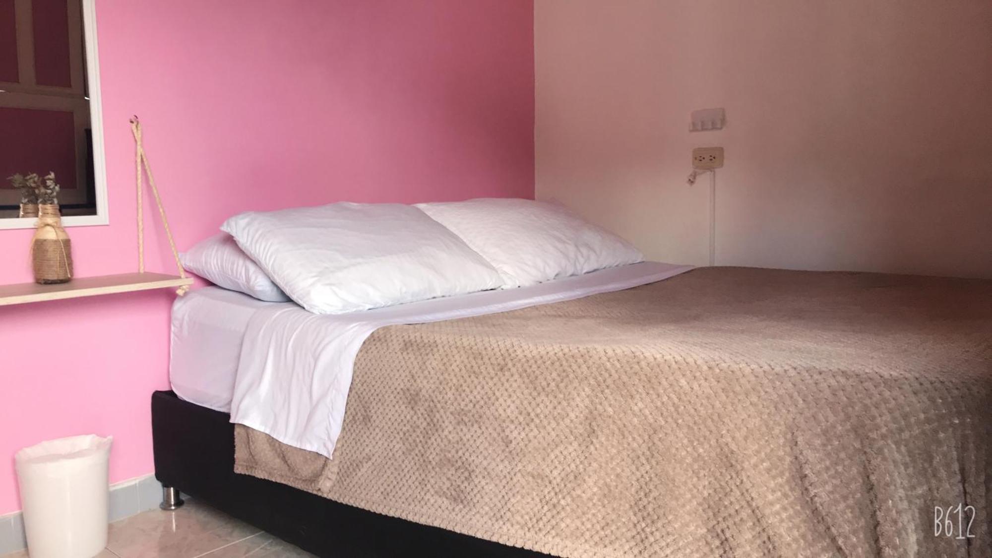 Hospedaje Casa Rosa 贾丁 外观 照片